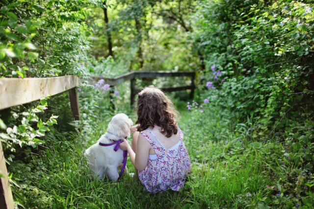 子どもと犬、愛の風景