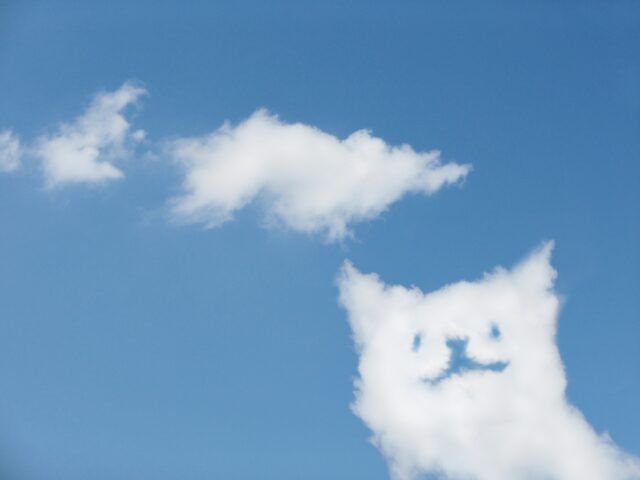 猫雲