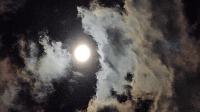 魂の闇夜とは? アセンション完了を前に、今とても苦しい人が多いみたい。どう乗り越える? 夜明け前は一番暗い。ツライ気持ちを抱えているあなたへ ...