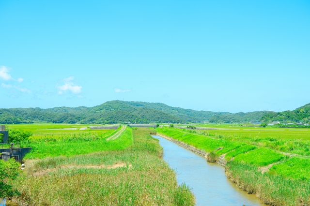 のんびりした風景