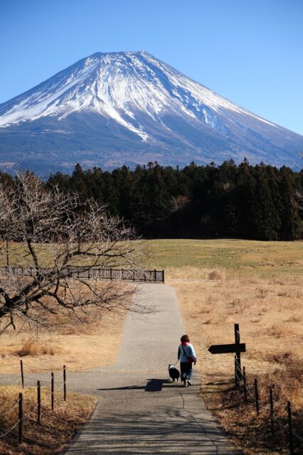 富士山と人と犬