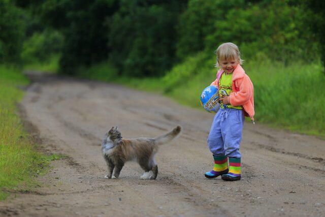 猫と子ども