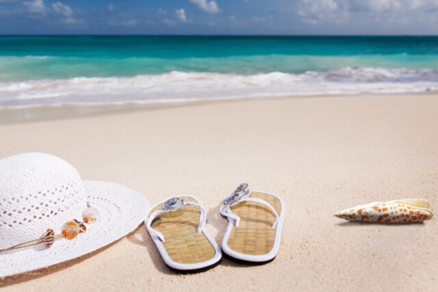 夏の海