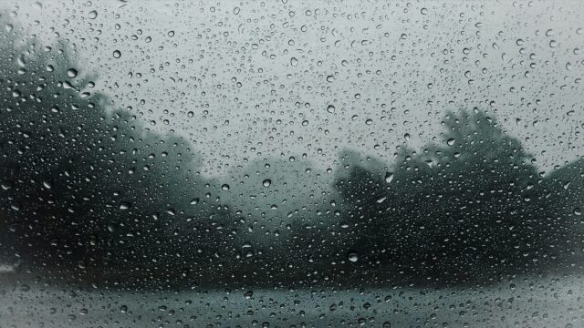 雨