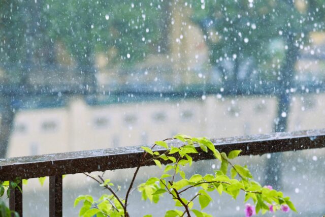雨