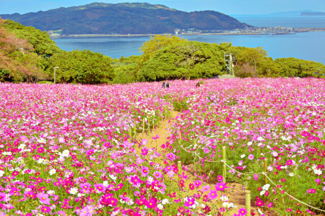 能古島